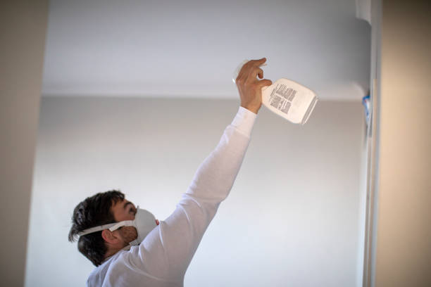 Best Water Damage Restoration  in Rockwood, VA