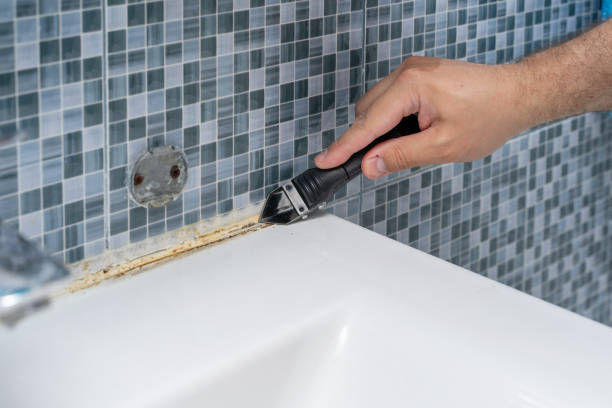 Rockwood, VA Mold Removal Company
