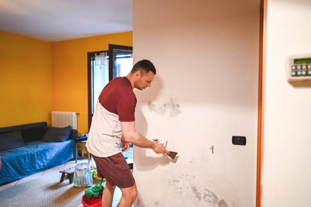 Best Mold Removal Company Near Me  in Rockwood, VA